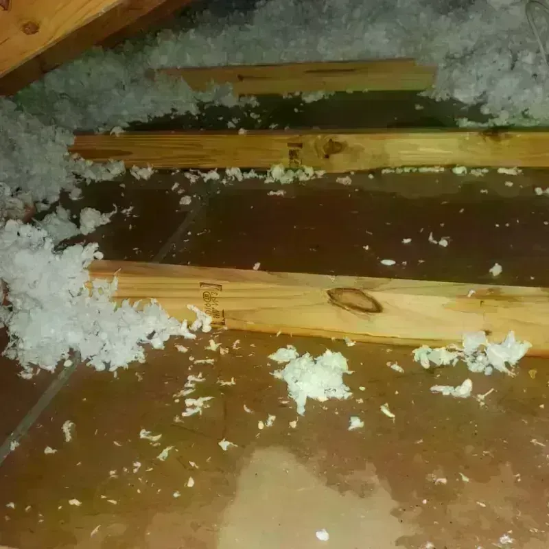 Attic Water Damage in Mercer Island, WA