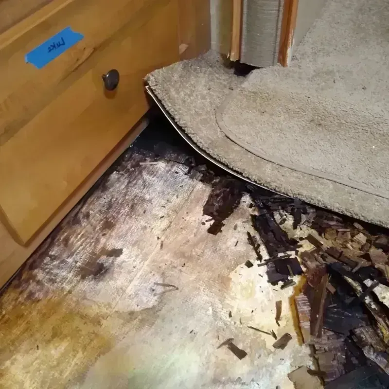 Best Wood Floor Water Damage Service in Mercer Island, WA